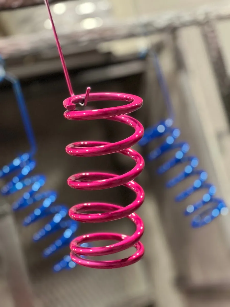 Pink and blue coil springs hanging after coating